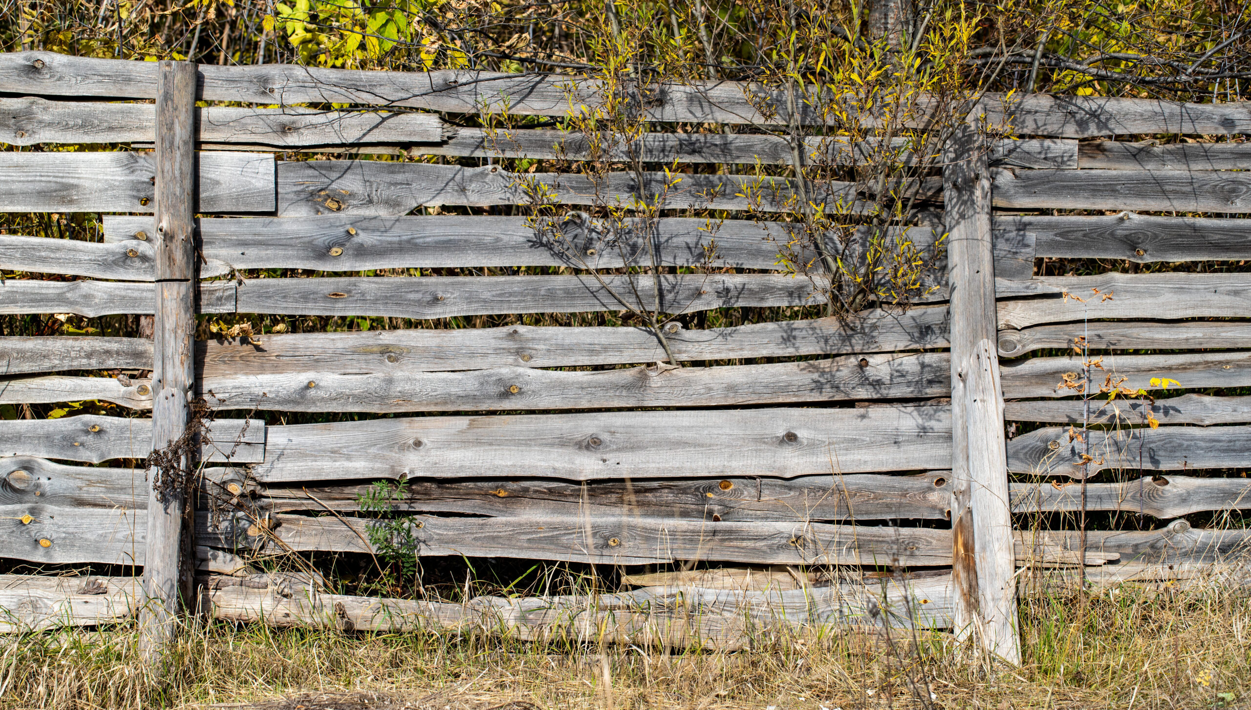 repair a fence post